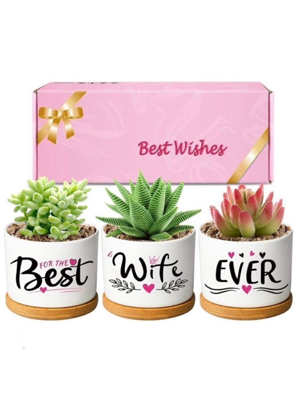 NWT Gift Set of 3 White Ceramic Succulent plants Pots Bamboo lids BEST WIFE EVER